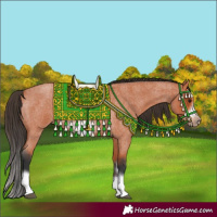 Horse Color:Bay Roan Splash Frame