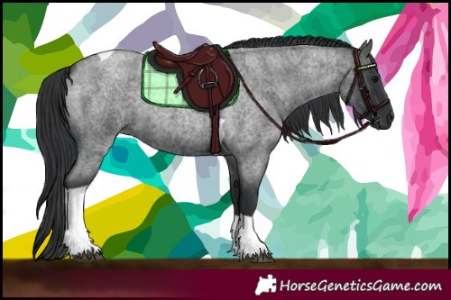 Horse Color:Blue Roan Tobiano 