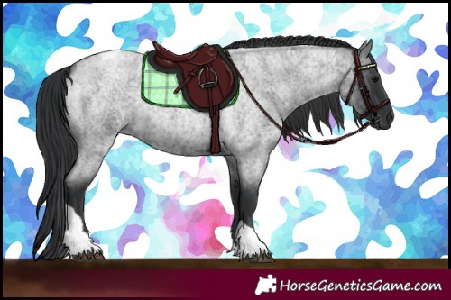 Horse Color:Blue Roan Tobiano 