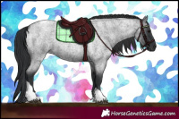 Horse Color:Blue Roan Tobiano