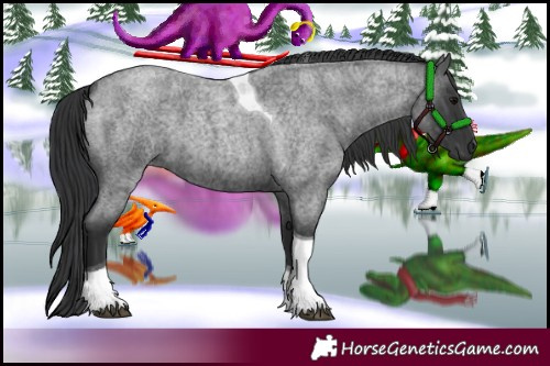 Horse Color:Blue Roan Tobiano 