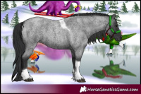 Horse Color:Blue Roan Tobiano 