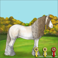 Horse Color:Buckskin Pearl Dun Sabino
