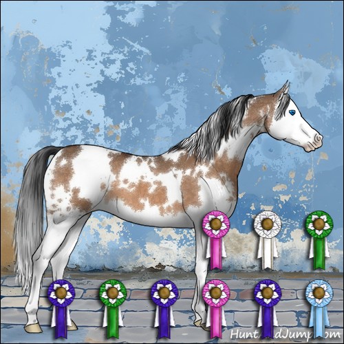 Horse Color:White Spotted Brown Dun Splash 