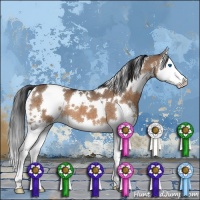 Horse Color:White Spotted Brown Dun Splash
