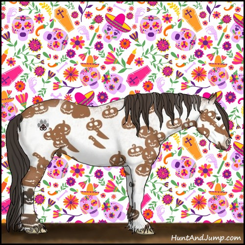 Horse Color:White Spotted Bay 