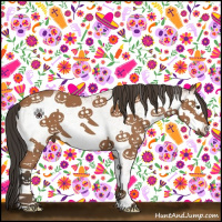 Horse Color:White Spotted Bay 