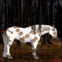 Horse Color:White Spotted Bay Splash