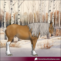 Horse Color:Gray Silver Classic Cream Champagne Tobiano