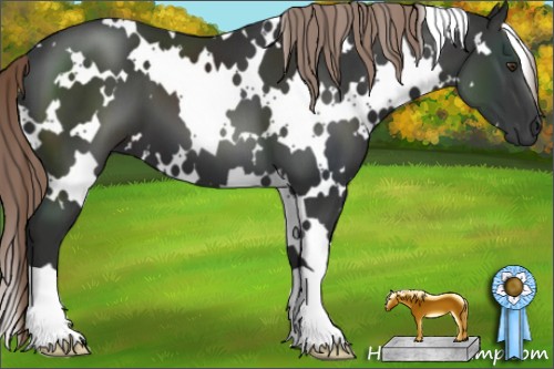 Horse Color:White Spotted Liver Chestnut 