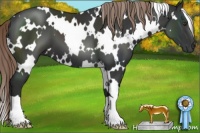 Horse Color:White Spotted Liver Chestnut 