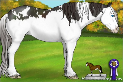 Horse Color:White Spotted Liver Chestnut Splash 