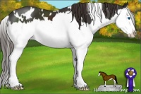 Horse Color:White Spotted Liver Chestnut Splash 
