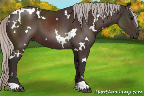 Horse Color:White Spotted Silver Brown 