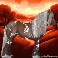 Horse Color:White Spotted Chocolate Silver Brown 