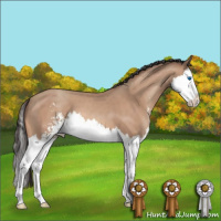 Horse Color:Amber Champagne Sabino Splash