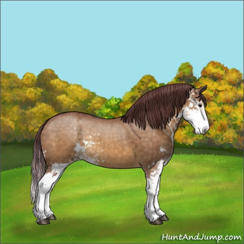 Horse Color:Chocolate Buckskin Dun Sabino 