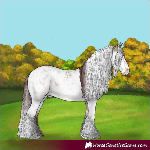 Horse Color:Chocolate Buckskin Dun Sabino 