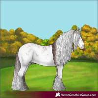 Horse Color:Chocolate Buckskin Dun Sabino 