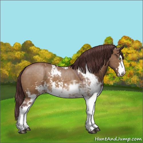Horse Color:Chocolate Buckskin Dun Sabino 