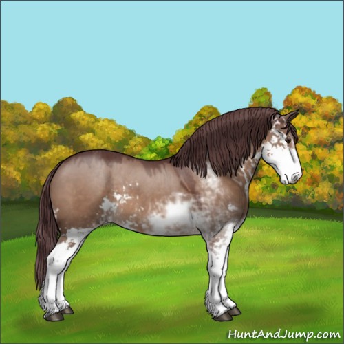 Horse Color:Chocolate Brown Dun Sabino 