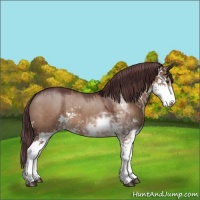 Horse Color:Chocolate Brown Dun Sabino 