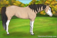 Horse Color:Bay Roan Dun Splash Rabicano