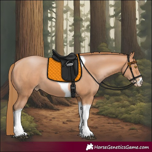 Horse Color:Bay Pearl Tobiano 