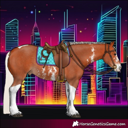 Horse Color:Silver Bay Sabino Tobiano Rabicano 