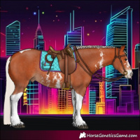 Horse Color:Silver Bay Sabino Tobiano Rabicano