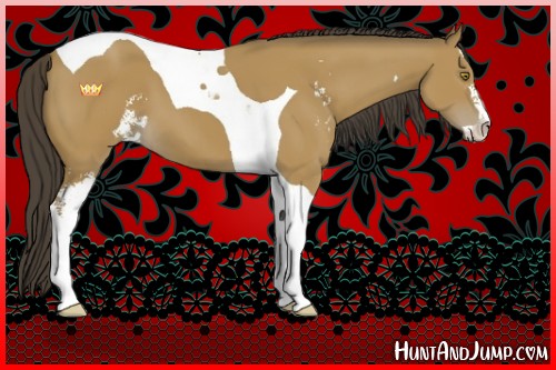 Horse Color:Buckskin Sabino Tobiano 