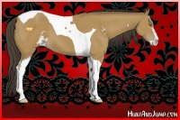 Horse Color:Buckskin Sabino Tobiano 