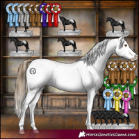 Horse Color:Buckskin Sabino Blanket 