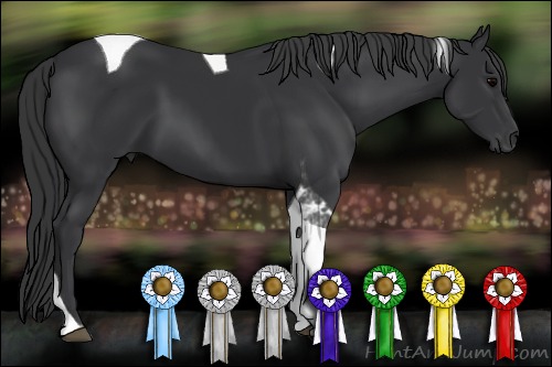 Horse Color:Black Tobiano 