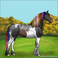 Horse Color:Painted Brown Tobiano Varnish 