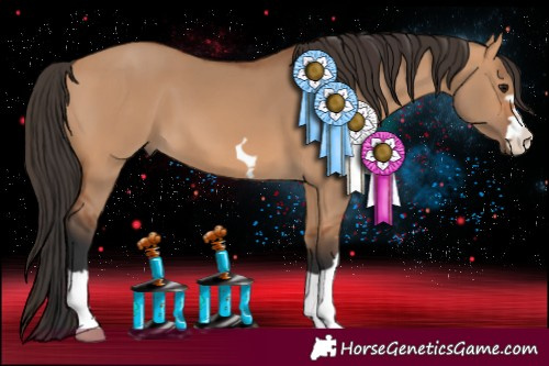 Horse Color:Bay Dun