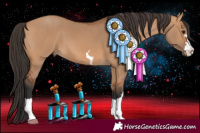 Horse Color:Bay Dun