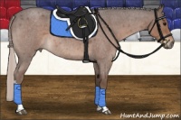 Horse Color:Silver Blue Roan Tobiano 