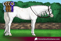 Horse Color:White Spotted Chocolate Palomino Pearl Dun Blanket 