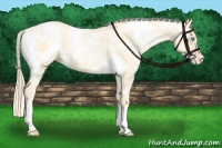 Horse Color:White Spotted Palomino Pearl Dun