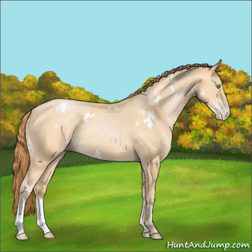 Horse Color:White Spotted Buckskin Pearl Tobiano