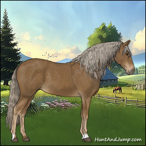 Horse Color:Chocolate Palomino