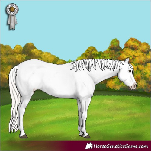 Horse Color:Silver Bay Dun Splash Near Leopard 
