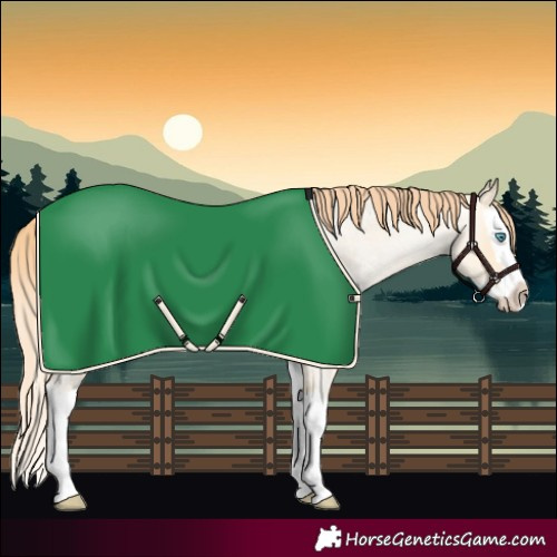Horse Color:Amber Cream Champagne Roan Pearl Splash 