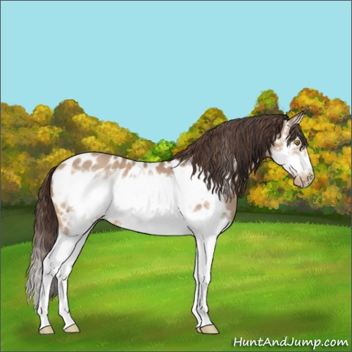 Horse Color:Amber Champagne Splash Frame Near Leopard