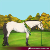 Horse Color:Buckskin Roan Dun 