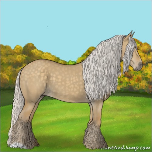 Horse Color:Silver Smoky Grullo 