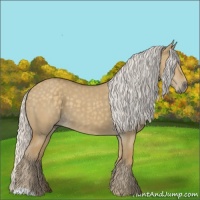 Horse Color:Silver Smoky Grullo