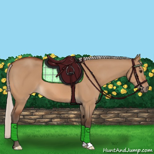 Horse Color:Silver Bay Dun 