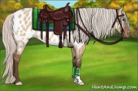 Horse Color:Silver Bay Dun Appaloosa